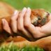 Pet Rehoming Network (@petrehomingnet) Twitter profile photo Pet Rehoming Network (@petrehomingnet) Twitter profile photo