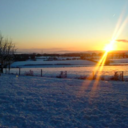 Sam McGhee - @Sam_McG_233 - Twitter