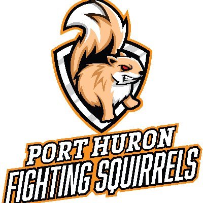 Success Virtual Learning Centers of Michigan
Port Huron Fighting Squirrels Team
We are a Michigan-based High School eSports team.
