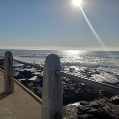 PercyShayamunda's profile picture. Winners win, losers lose.