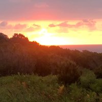 Baran.24 (@baran_2481) Twitter profile photo