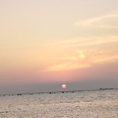 aboead161's profile picture. 