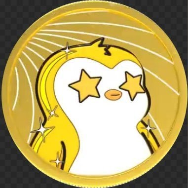 penguinsolcoinn's profile picture. 