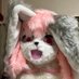 兎宝みたま新人VTuber (@twopaomitama) Twitter profile photo 兎宝みたま新人VTuber (@twopaomitama) Twitter profile photo