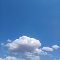 おぜ ひめ-♡ (@jseuhs6f5izdb4l) 's Twitter Profile