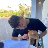 محمد (@tantalostheplot) 's Twitter Profile