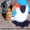 FJKLabel's profile picture. Just a chill dude. Travel junkie, Mtn Dew fiend, trying to find peace in this perfect storm of life. Comedy genius. Also anti-fascist...🦸