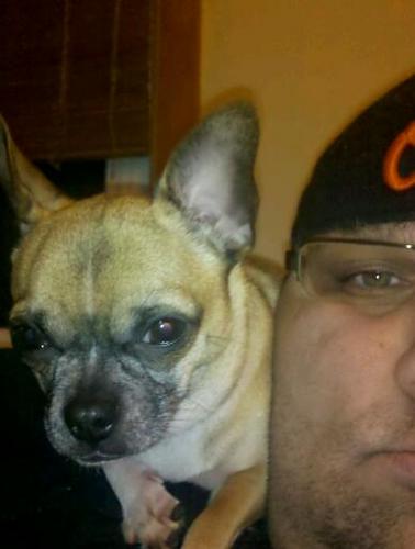 mflohr74's profile picture. Empathy is cool. I like to watch sports, food & cooking, my dog, tv & movies.