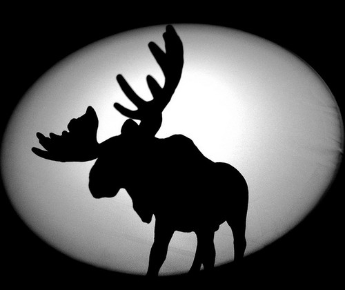 LeeWitherington's profile picture. 