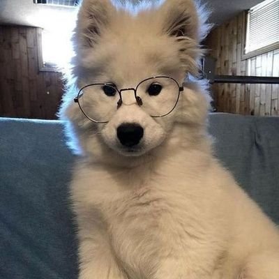 Biotecnologista. Panssexual (💖💛💙).Residindo no litoral nordestino. He/Him. INTJ. Pagão. Ostara's son. Water and Half-Dragon type. 🪐. Boiola nas horas vagas.