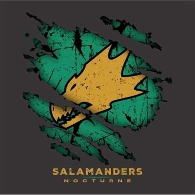 IronHiro2508's profile picture. 