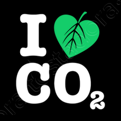 BlueKirsch's profile picture. Freedom of speech is absolute,even if unintentionally feelings get hurt in the proces.

 Always dream big ;)

Passions:Photography,AFC Ajax,Madeira