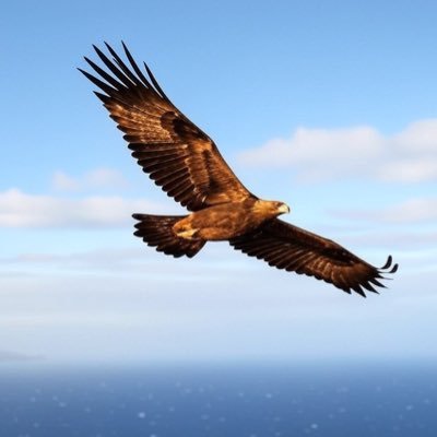 xzdnmx's profile picture.