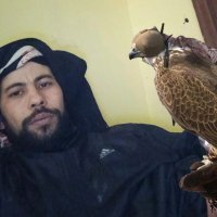 اسامه آل طالب (@osama_abutalb) 's Twitter Profile