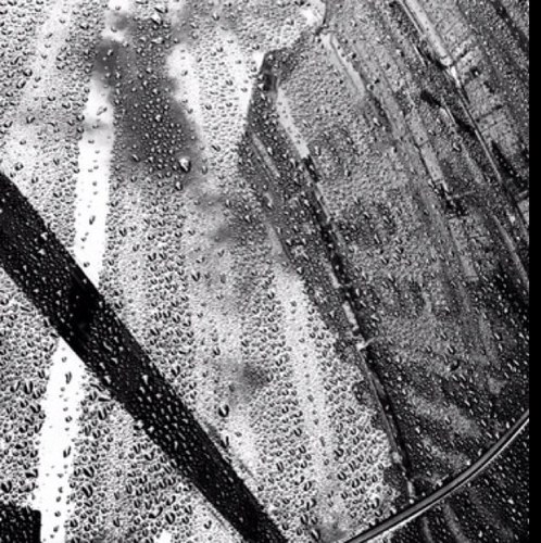 WorldWildArt's profile picture. International ArT tweet