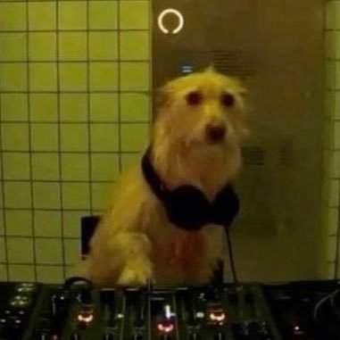 kanja114's profile picture. 