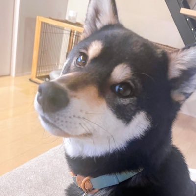 にぽさんのプロフィール画像