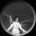 Celeste SUPREMACY (@celesteupd) Twitter profile photo