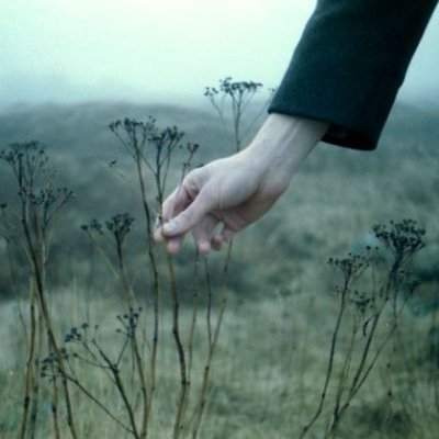 DreamsViridian's profile picture. Breathing the free air