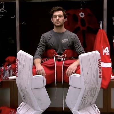 #lgrw #yecers #ILOVEALEXLYONOFTHEREDWINGS fan of other stuff too. very opinionated sports fan.