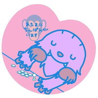 わたらない (@wataranaisas) 's Twitter Profile Photo