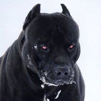 Berzercar (@aspenson_d74276) 's Twitter Profile