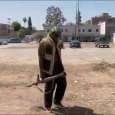 bob505281382310's profile picture. 