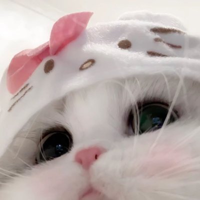 YYさんのプロフィール画像