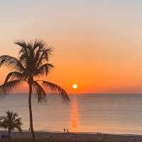 Grace Iwanicki (@giwanicki66768) 's Twitter Profile