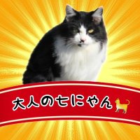 大人の七にゃん🐈️ (@otona_7nyann) 's Twitter Profile Photo 大人の七にゃん🐈️ (@otona_7nyann) 's Twitter Profile Photo