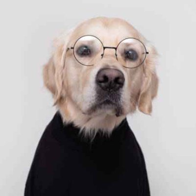 Saltcina's profile picture. Ok who gaf