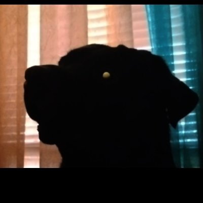 505Tazzy2TONS's profile picture. 