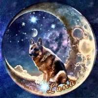 𝓩𝓲𝓹🐾𝓩𝓸ë🐾𝓜𝓸𝓶👩🏻🌾~✨🕯𝓛𝓾𝓷𝓪🐾✨~ (@whidbeygypsy) 's Twitter Profile Photo 𝓩𝓲𝓹🐾𝓩𝓸ë🐾𝓜𝓸𝓶👩🏻🌾~✨🕯𝓛𝓾𝓷𝓪🐾✨~ (@whidbeygypsy) 's Twitter Profile Photo