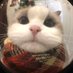 😽 (@ikechi1akunna) Twitter profile photo 😽 (@ikechi1akunna) Twitter profile photo