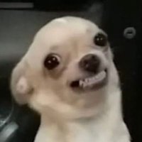 evilwitch (@conduitofevil) 's Twitter Profile