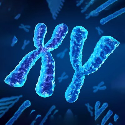 CHROMOSOME_CTO's profile picture. Where Biology Meets Blockchain, and Profits Multiply! 🔬 $XY 🧬🚀 https://t.co/31TiXmSo30
HG96VCTWSJaFCmtjgYfDJESDv9vHWUMbN9JpHTHk2aaV