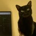 GonzoCat ® (@_gonzocat) Twitter profile photo GonzoCat ® (@_gonzocat) Twitter profile photo