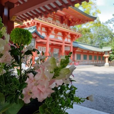 rafu_myk1123's profile picture. 読書,神社仏閣,御朱印,書写に興味あります/小路幸也『東京バンドワゴン』シリーズ/ハイキュー!!/ちはやふる/❌エロ系,副業,投資は興味なし🙅それら系のフォローは固くお断りします/❌プロフ不明瞭な方はフォロバしていません/己書道場師範…活動や作品はInstagramに投稿しています➡️興味がある方はDMまで