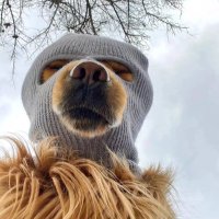 Ryan (@mcfcdubs) 's Twitter Profile