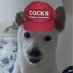 Cock Soup ๐คญ๐ซณ๐ฝ (@cawksoup) Twitter profile photo Cock Soup ๐คญ๐ซณ๐ฝ (@cawksoup) Twitter profile photo
