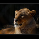 Ebony Atkinson - @EbonyAtkinson1 - Twitter