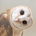 Sweet and kind lady (@compulsivelair) Twitter profile photo Sweet and kind lady (@compulsivelair) Twitter profile photo