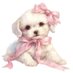 Angel.calzz (@lilly_calz) Twitter profile photo Angel.calzz (@lilly_calz) Twitter profile photo