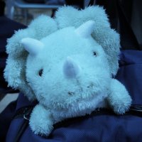 ksng (@k47215231) 's Twitter Profile