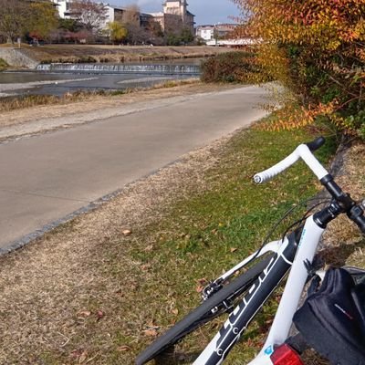 GR41kyogoku1535's profile picture. 吹奏楽TUBA, ロードバイクGIANT DEFY, 個別株でどれだけ損したか…投信のみS&P500、NAS100、レバファン💸まもなく1,000万, ラーメン🍜, 寿司🍣, 海外出張2023年は🇹🇼4回 2024年は🇮🇳2回 2025年🇮🇳1回 TOEIC880 HSK6級でもキクタン中級編写経中