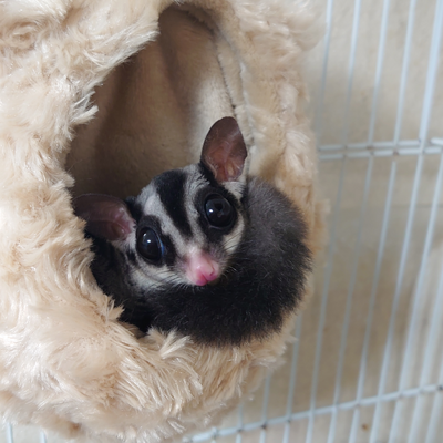 panparu37's profile picture. ランくん最推し👑🦅カイリュウも好き☕MAZZEL大好きなMUZE🚩社長と同い年の3人のママ👻中2👦小3👦小2👧
敬語無しでよろしく🩷B’zも10代から推し
6/24♡8/30♡9/30♡11/10♡6/22,23♡10/16♡11/17♡4/30♡6/20♡6/28♡10/6