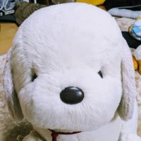 なおぶた@UC&Cb (@naobig_uc) 's Twitter Profile