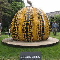 たかぽん (@takapon_ponta) 's Twitter Profile