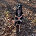 Yenni Desroches 🦋🐾🦓🏳️🌈 (@yennidesroches) Twitter profile photo Yenni Desroches 🦋🐾🦓🏳️🌈 (@yennidesroches) Twitter profile photo