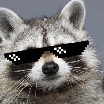 gimuseong880874's profile picture. 